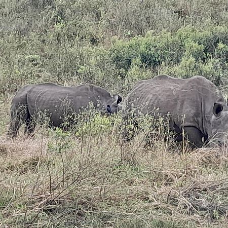 ホテル Hluhluwe Gate Safari Camp エクステリア 写真