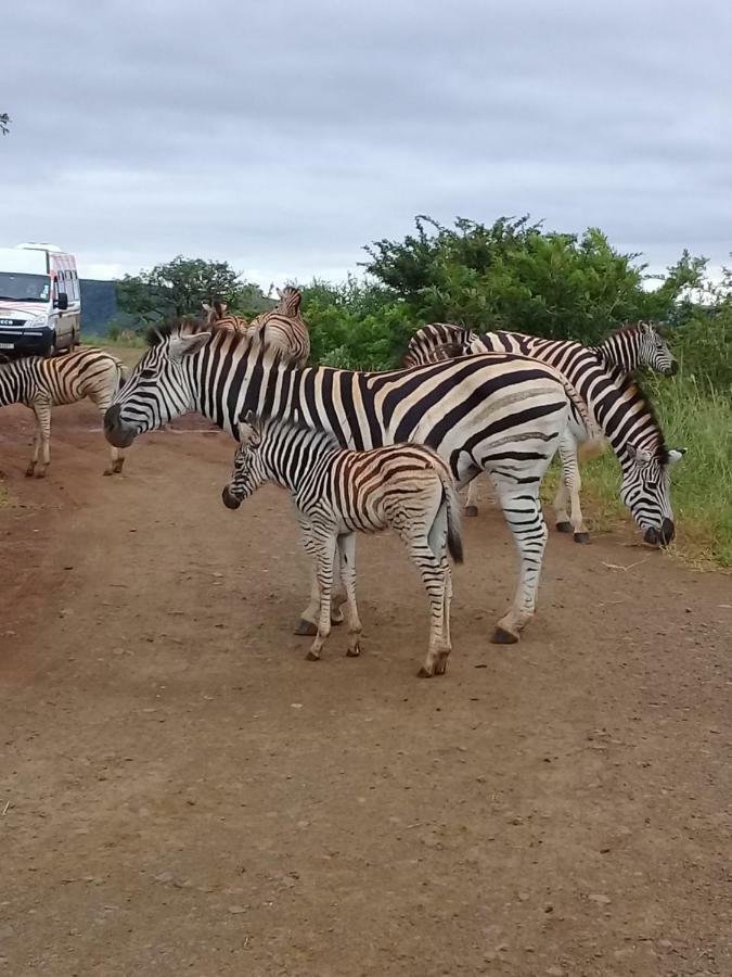 ホテル Hluhluwe Gate Safari Camp エクステリア 写真