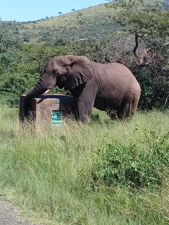 ホテル Hluhluwe Gate Safari Camp エクステリア 写真